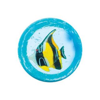 Obrázek z Hopík korálové ryby 4,5cm, 4druhy (48) 